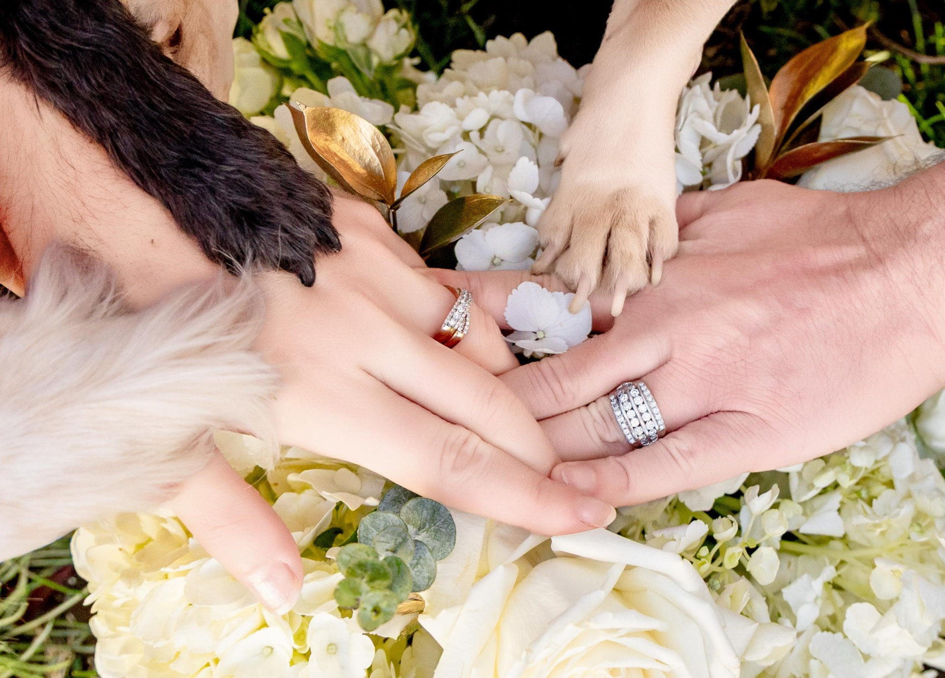 Paws and rings — the whole family said yes